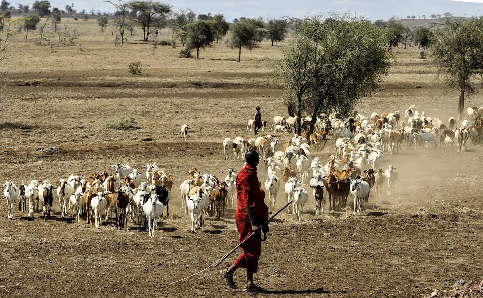 La Tanzanie, un pays d’aventure et de détente qui mérite un voyage