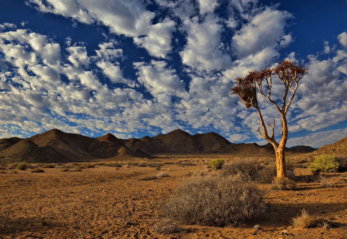 Afrique du Sud